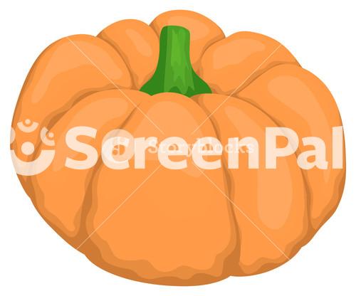 Pumpkin Vector Design